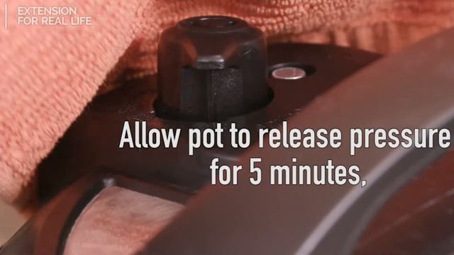 The Food Factor: How to Boil Eggs in an Electric Pressure Cooker смотреть онлайн