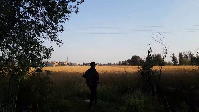 رحله صيد فيها جميع انواع الطيورالبرية السلاح المستخدم كوميتا فينكس ٤٠٠ 🦇