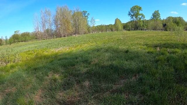 🍀ОСТАТКИ БЫЛОГО УЮТА — КОП МЕТАЛЛА ВОЗЛЕ ДЕРЕВНИ. смотреть онлайн