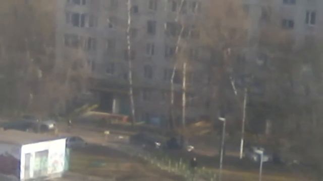 Двор таракана =/=/=)