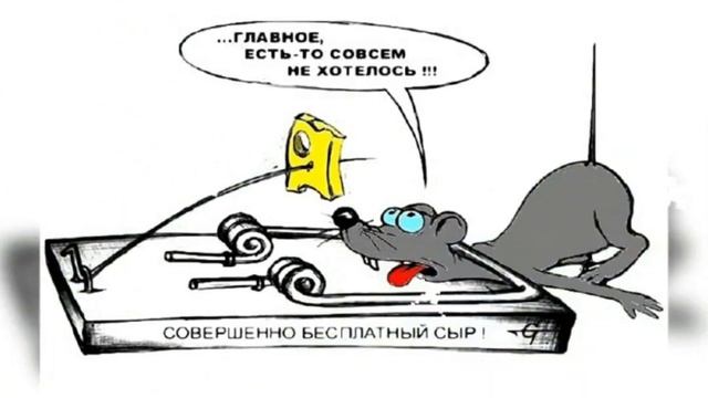 .Я не политик. - Читает Автор смотреть онлайн