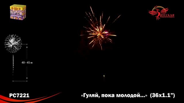 РС7221 смотреть онлайн