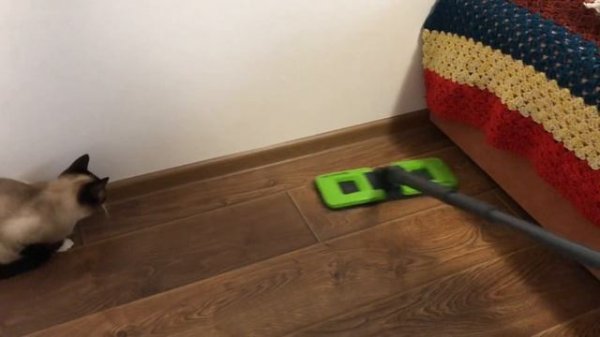 Уборка шваброй Twist с отжимом. И с кошками 😂