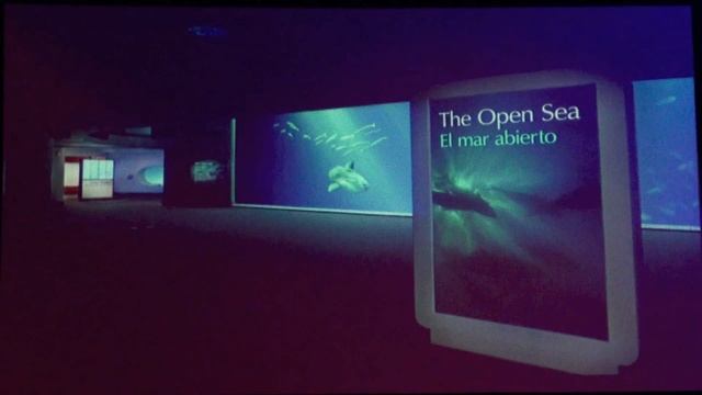 Jon Hoech Открытые моря