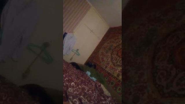 Затмение луны смотреть онлайн