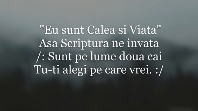 Omu-n lume-i ca vaporul - Karaoke смотреть онлайн