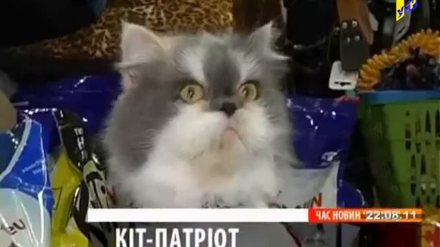 УТР-1.ЧАС.20-00_22.08.2011.avi смотреть онлайн