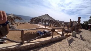 Египет 🇪🇬  Упали очки на дно Sharm Club Beach Resort 4* Хадаба  Подводный мир / Сервис / Выводы