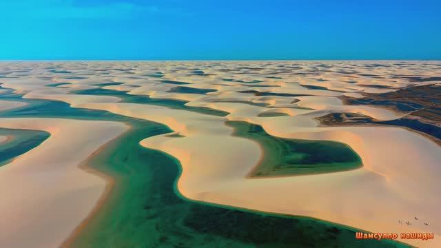 Коран сура--Аль-Ахкаф чтец  Мухаммад аль-Факих