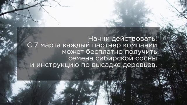 Greenway восстанавливает леса смотреть онлайн