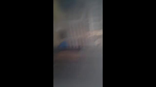 управа утренняя ツ дойка коз ツ мелим корм ツ смотреть онлайн