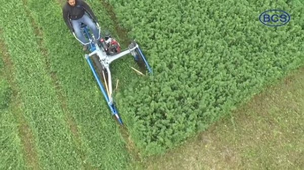 Motosegadora BCS 622