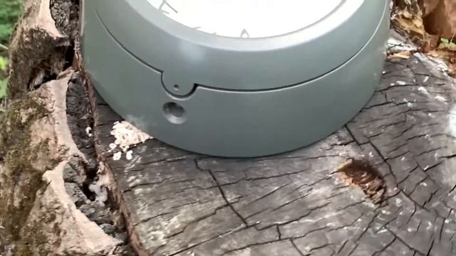 Часы корабельные № 10