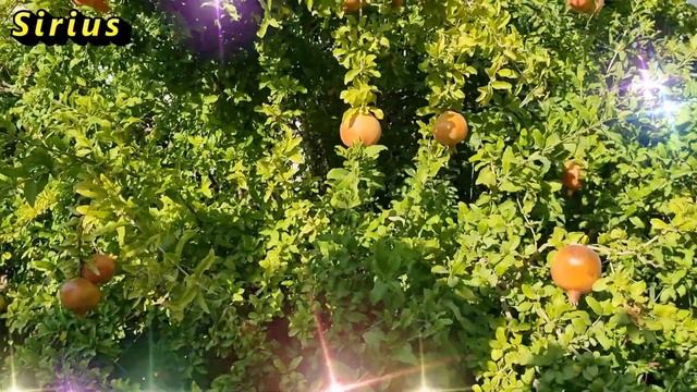 Какие знаки зодиака предпочитают не затрагивать сложные и болезненные вопросы смотреть онлайн