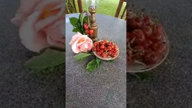 ГЛАЗАСТАЯ СТАРУШКА И К° для тех кто смотрит в прямом эфире! смотреть онлайн