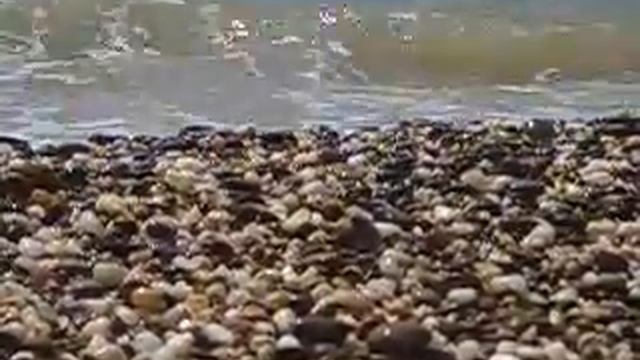 Sea.flv смотреть онлайн