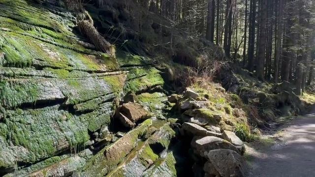 Одно из самых популярных мест в НОРВЕГИИ 2024. Kossdalssvingane. смотреть онлайн