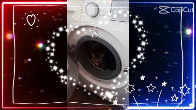 Марс топовый котик смотреть онлайн