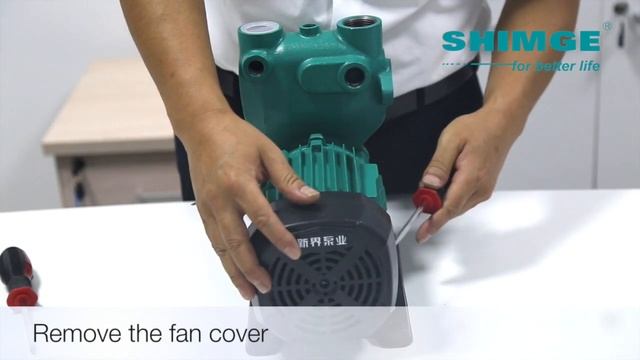 Pump Disassembly Video For SHIMGE PW-Z