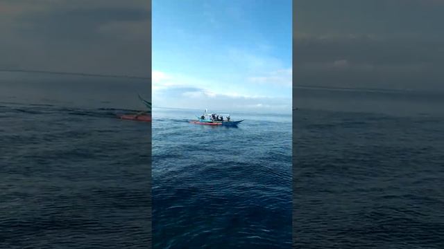 LNG Tanker Ship Survey