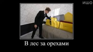 Стали телохранителями на 24 часа