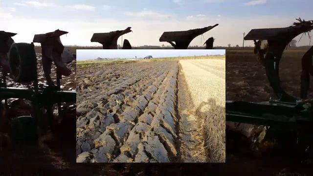 Regent Pflugfabrik GmbH SchwererBoden