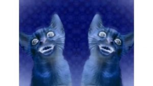 Preview 2 Numa Cat effects [Sponsored by Preview 1982 effects]