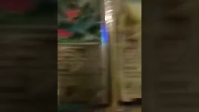 My pokemon binder 2014 July 9 смотреть онлайн