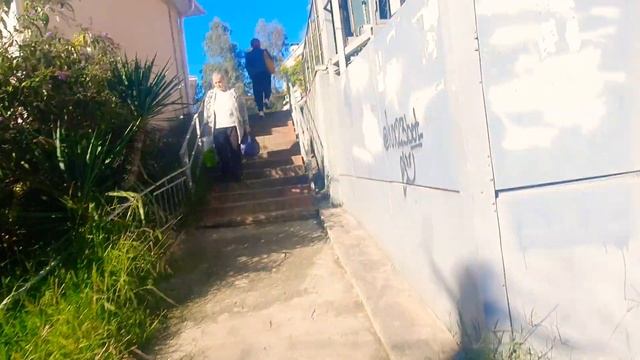 Сочи Кудепста - отличная погода гуляю по Парку +17 тепла. 25 октября 2022.