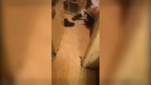 Людоеды из Краснодара смотреть онлайн