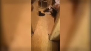 Людоеды из Краснодара