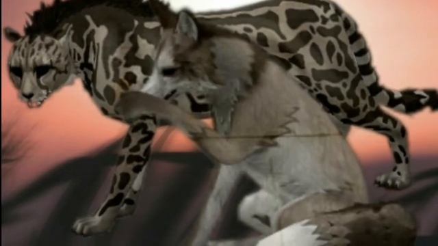 wcmv Буду признаваться смотреть онлайн