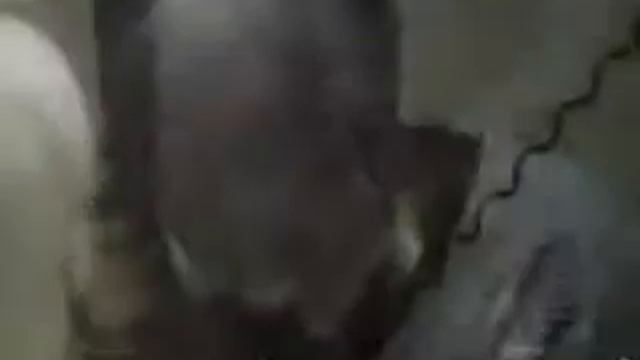 Gled 72 - мир.flv смотреть онлайн