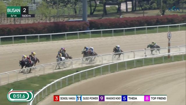 (Busan) 2023.05.14 R2 Class 5 (1600M) Special Weight B смотреть онлайн