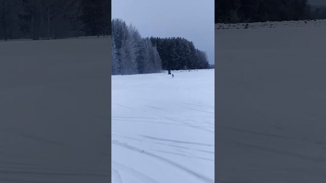 иж планета на льду пруда шипы