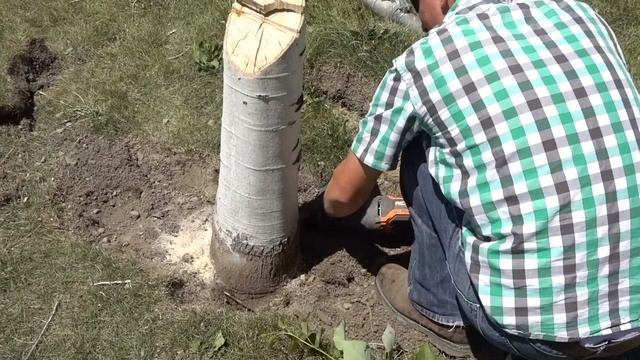 How To Remove A Tree Stump By Hand (In 20 Minutes Or Less) смотреть онлайн