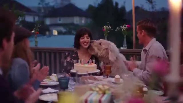 Pedigree Dentastix Oral Care смотреть онлайн