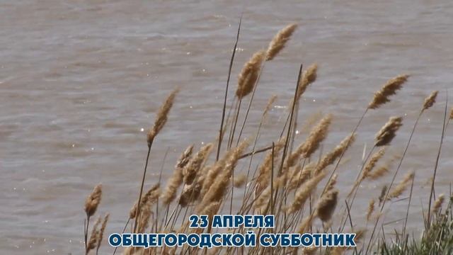 23 апреля общегородской субботник смотреть онлайн