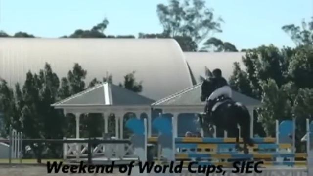 Mr Chips - Sanna Equestrian Bloodstock смотреть онлайн