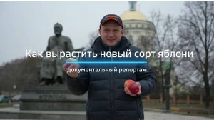Как вырастить новый сорт яблони