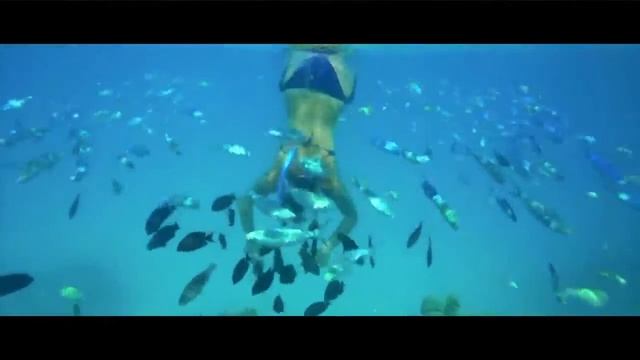 MG Alexander the great Hotel Marsa Alam Set your soul free. 😇😇 смотреть онлайн