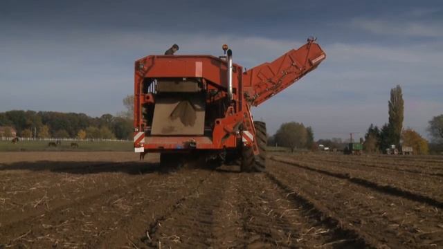 GRIMME VARITRON 270 | self-propelled Potato Harvester смотреть онлайн
