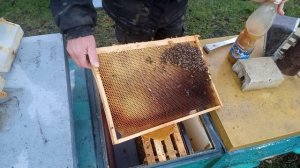 СУПЕР подкормка пчёл