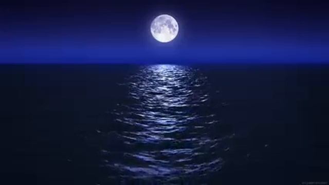 Sleep Music With Ocean And Jungle Sounds – Relaxing Blue Screen Scene – Ocean And Full Moon