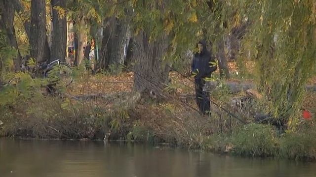 Не турбуйте рибу в "зимувальних ямах": з 1 листопада діє обмеження смотреть онлайн