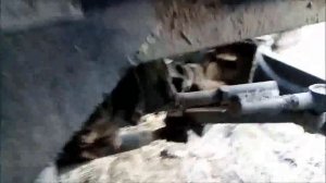 о постройке вездехода с поворотным мостом что надо знать.