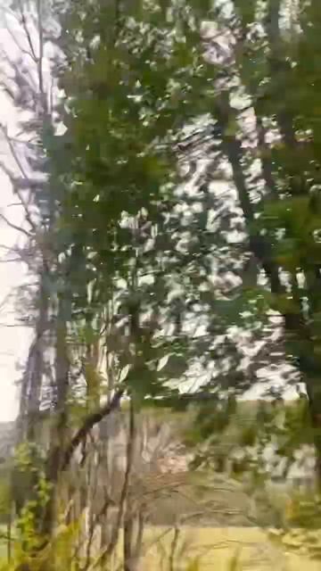 Прекрасно🏔️☘️🌳 #новолуние #крым #природа #магия #дом #осень смотреть онлайн