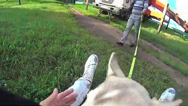 5 дней — 13 этажей смотреть онлайн