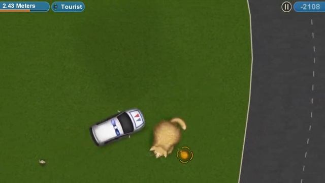 Кот едун смотреть онлайн