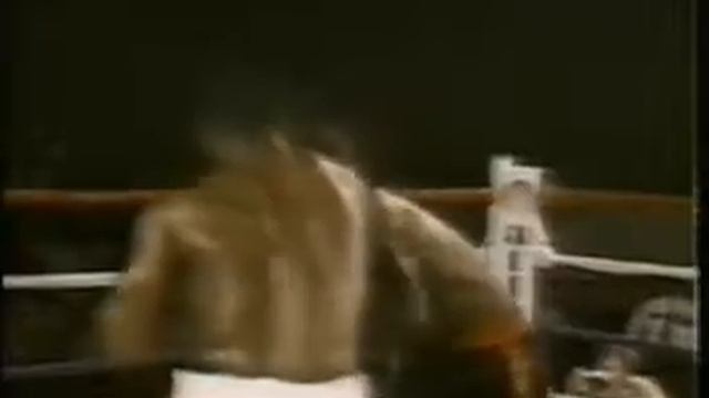 Mike Tyson Hits Boks